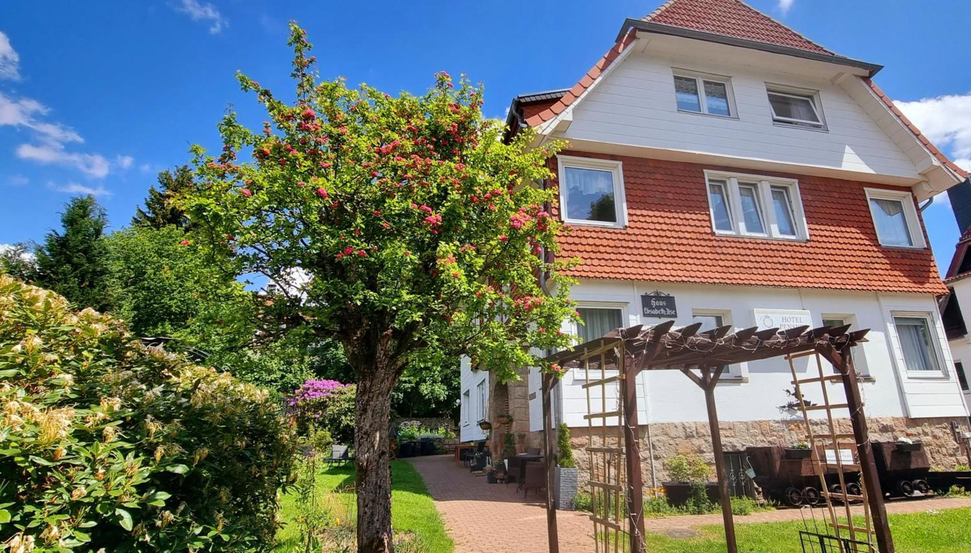 Hotel Elisabeth Ilse Braunlage Exteriör bild